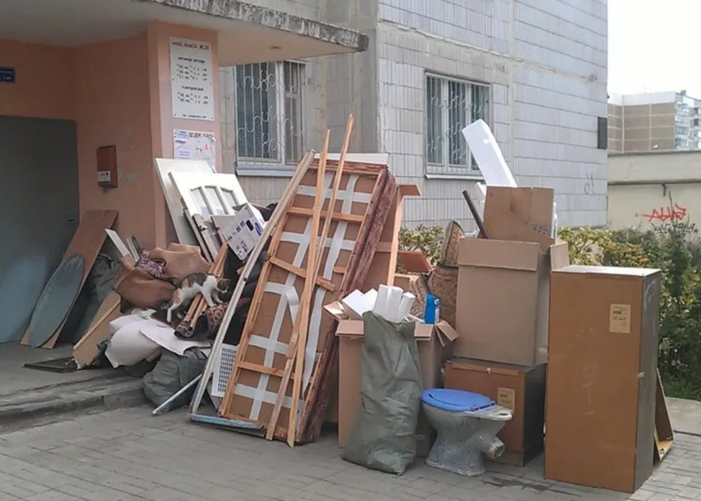 Профессиональный вывоз мусора из квартиры в Губахе в октябре