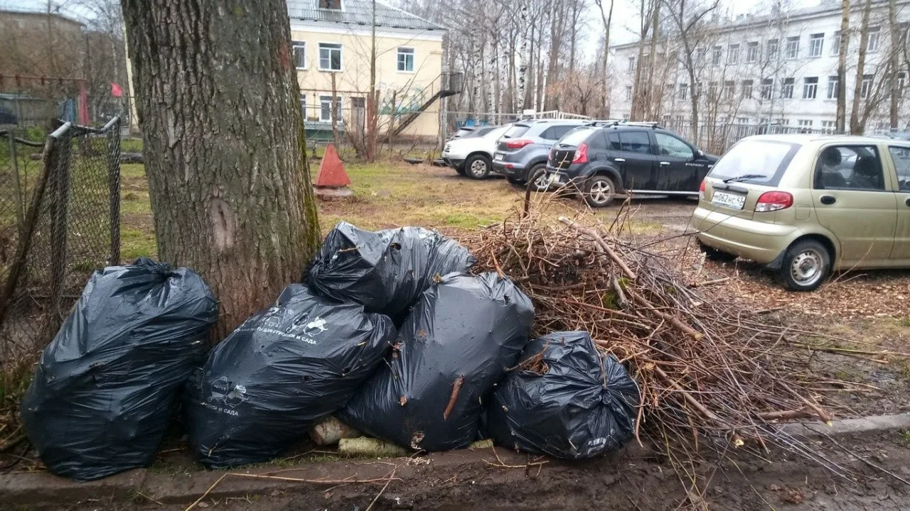 Вывоз мусора после субботника в Губахе от ПроМусор – уборка и утилизация отходов от 2436 руб