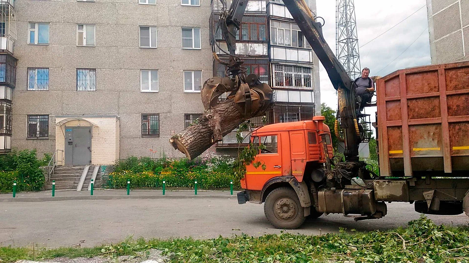 Вывоз спиленных веток и деревьев в Губахе от ПроМусор: порубочные остатки, утилизация, цена от 3006 руб