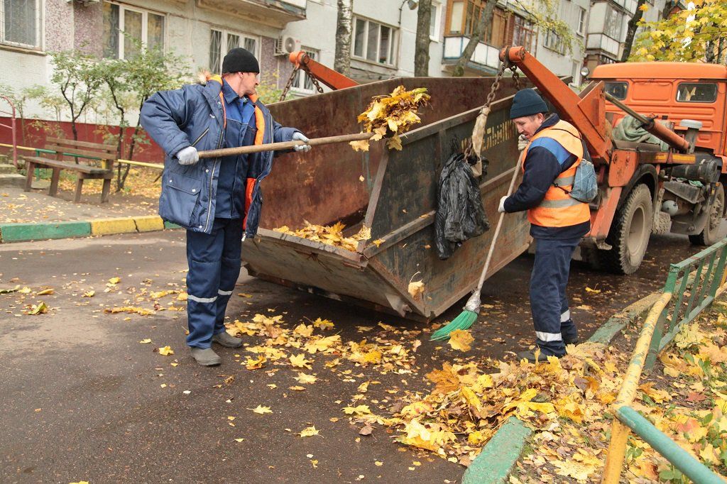 Вывоз опавшей листвы и растительного мусора в Губахе от ПроМусор – цена от 4665 руб., быстрая уборка и утилизация